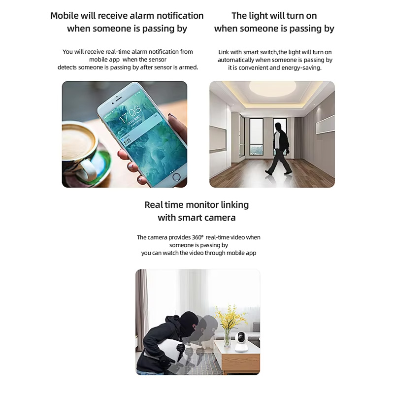 Sensore di Movimento PIR Intel - Home Security Technology recensione e prezzo