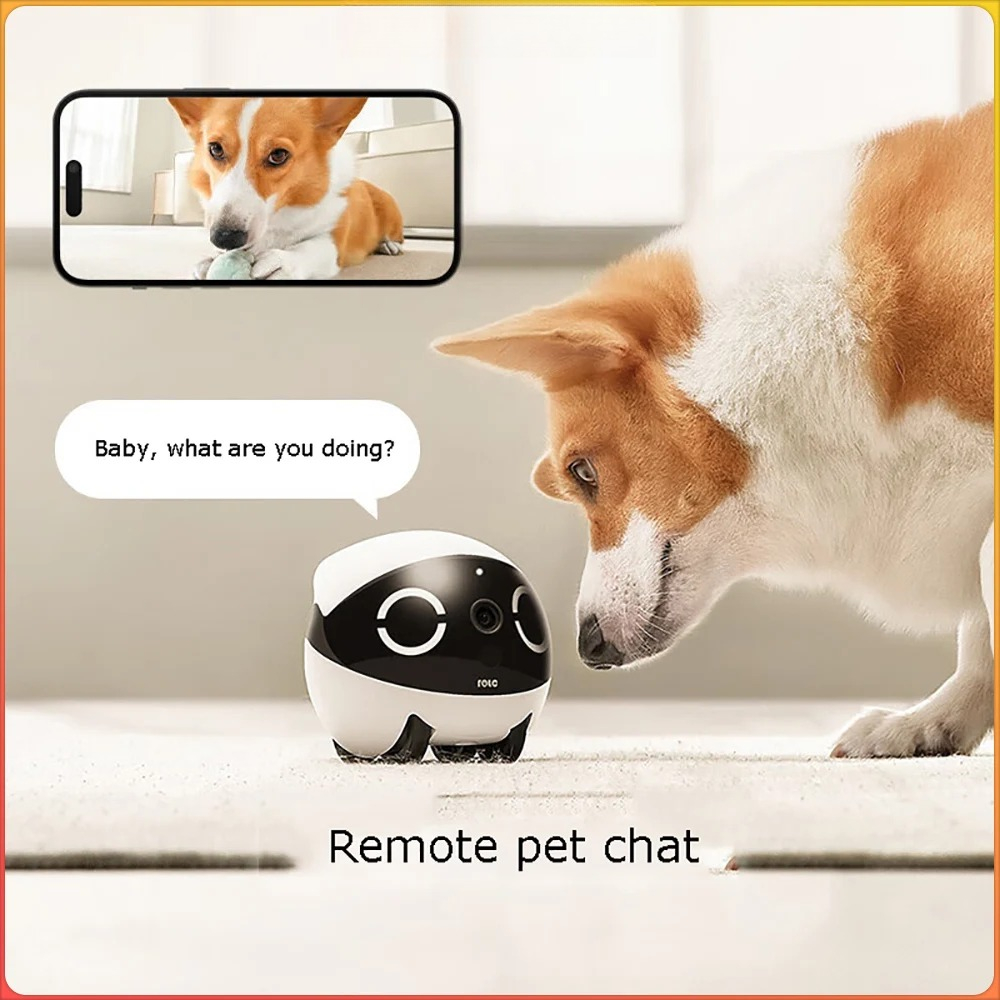Robot Compagno per Animali Dom - Home Security Robots recensione e prezzo